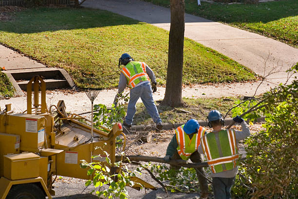 Landscape Design and Installation in Crest View Heights, NY