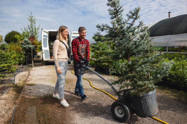 How Our Tree Care Process Works  in  Crest View Heights, NY